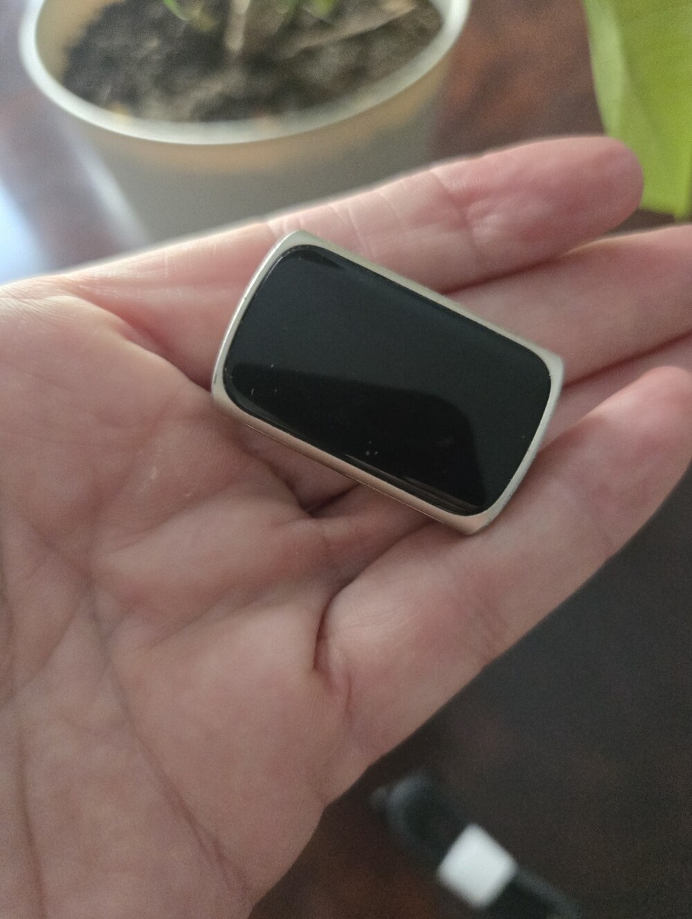 Fitbit Charge 5 W/ Charger